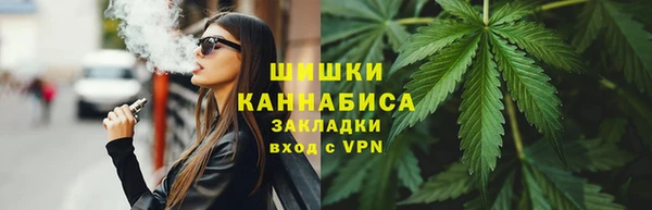 мдпв Кодинск